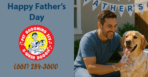 Clean Pup for Father’s Day-U-Wash Doggie-SCV
