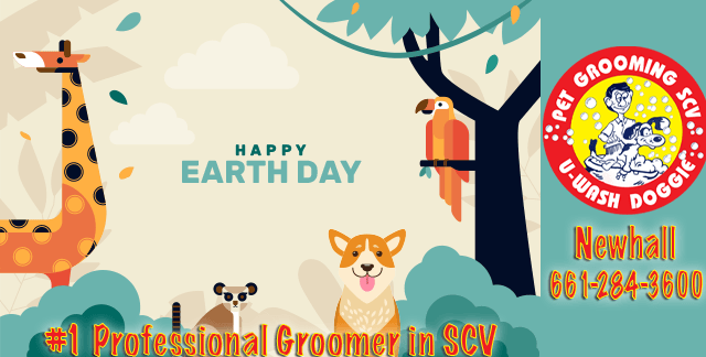 Celebrate Earth Day with U-Wash Doggie: Pawsitively Green!