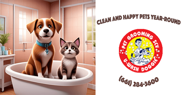 Grooming Essentials For Your Pet in SCV-Newhall