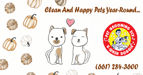 Kindness To All, Large and Small – U-Wash Doggie-SCV