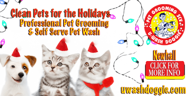 Welcoming December at U-Wash Doggie!-SCV