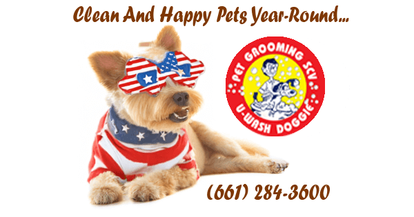 U-Wash Doggie Honors Memorial Day-SCV