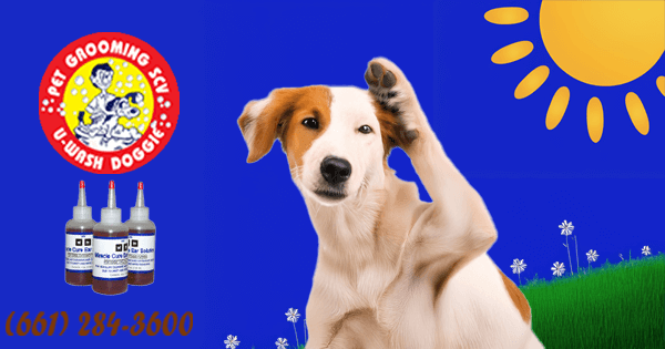 Miracle Cure Ear Solution-U-Wash Doggie-SCV