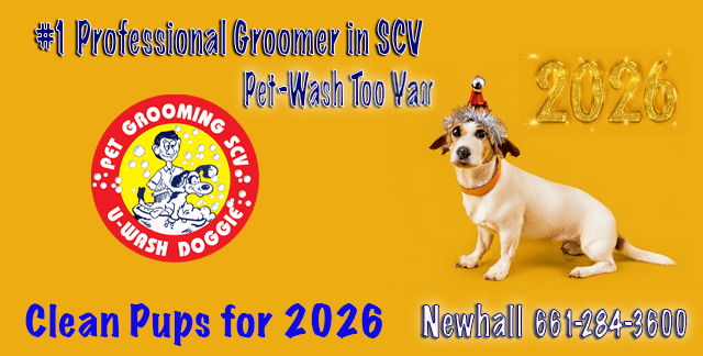 Clean Pets-U-Wash Doggie-SCV