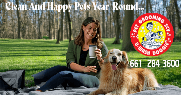 Pick up your favorite cup of coffee and swing by U-Wash Doggie-SCV