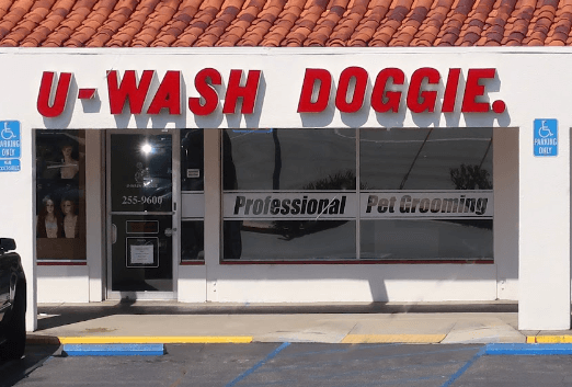 Adopt a Less-Adoptable Pet Week-U-Wash Doggie-SCV