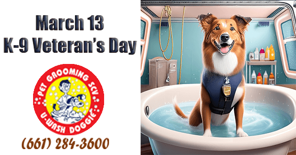 Clean K9s on K9 Veterans Day-SCV