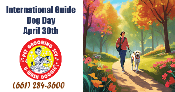 International Guide Dog Day-U-Wash Doggie-Newhall-SCV